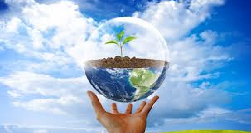 Azərbaycan təbiətin mühafizəsinə ayrılan xərcləri artırıb