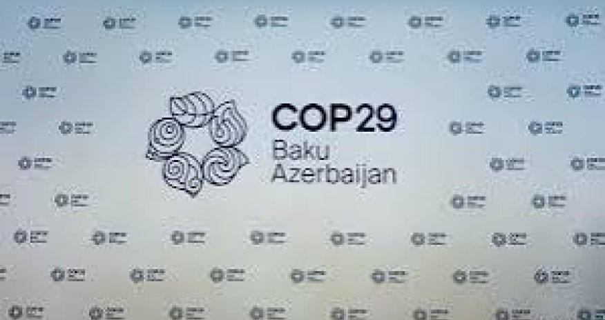 В Азербайджане завершились интервью для приема на волонтерскую программу СОР29