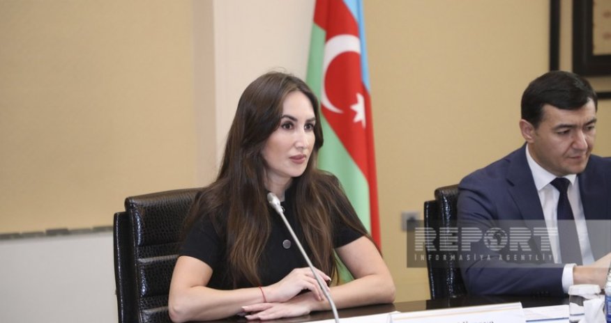 Azərbaycanda daşınmaz əmlakla bağlı vahid elektron portal işə salınacaq