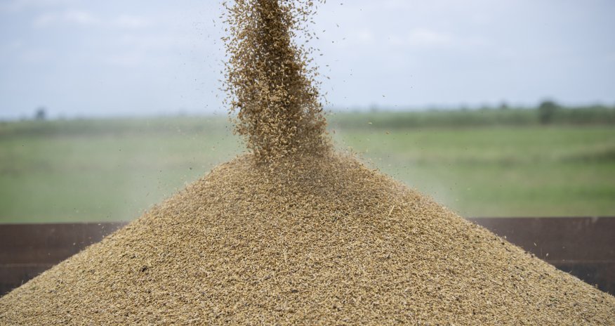 Qazaxıstan Azərbaycana daha çox buğda göndərmək üçün mexanizm hazırlayır