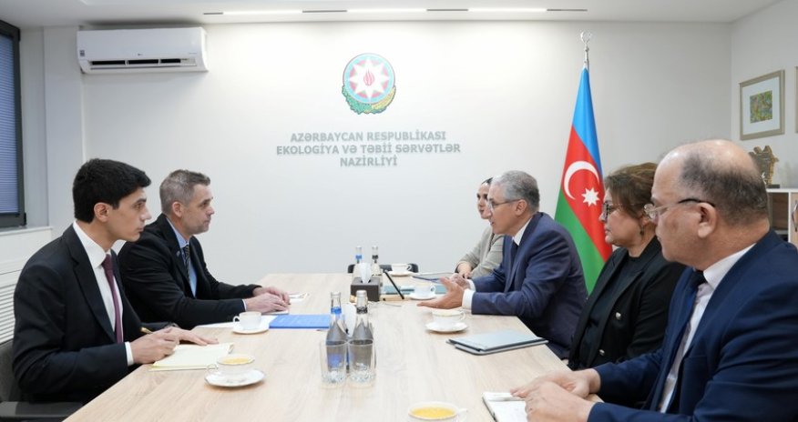 Mukhtar Babayev, IOM official exchange views on preparations for COP29