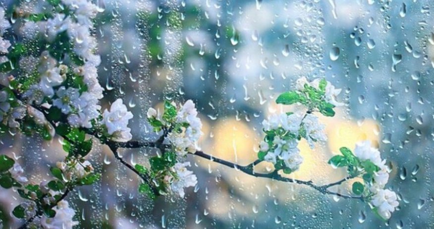 Azerbaijan weather forecast for August 9