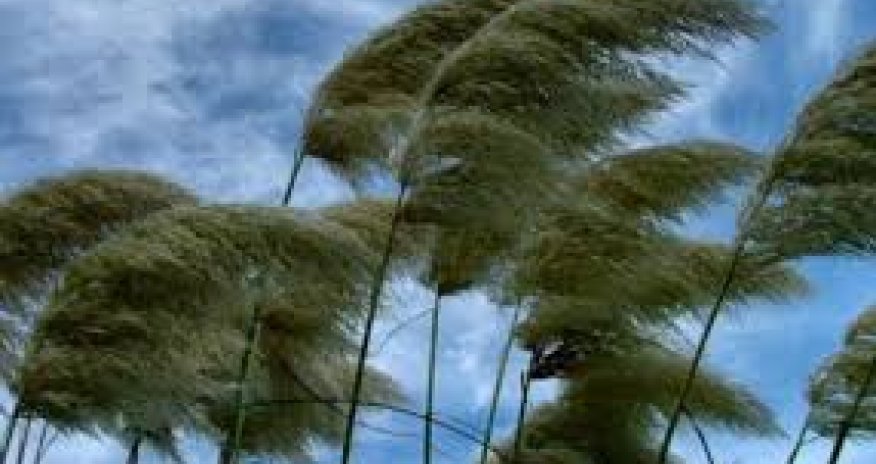 В Азербайджане объявлен желтый уровень погодной опасности