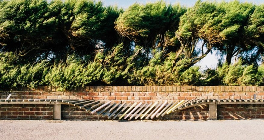 Sabah bəzi bölgələrdə külək güclənəcək - SARI XƏBƏRDARLIQ