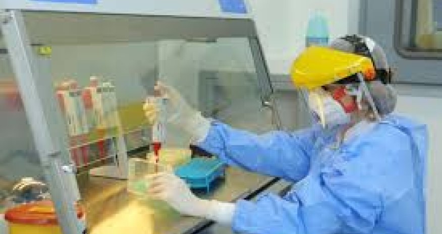 ÜST “meymunçiçəyi” ilə bağlı fövqəladə vəziyyət elan edib