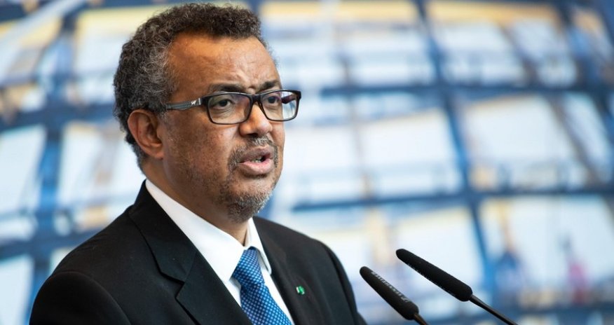 WHO Director-General urges humanitarian pauses for Gaza vaccination campaign