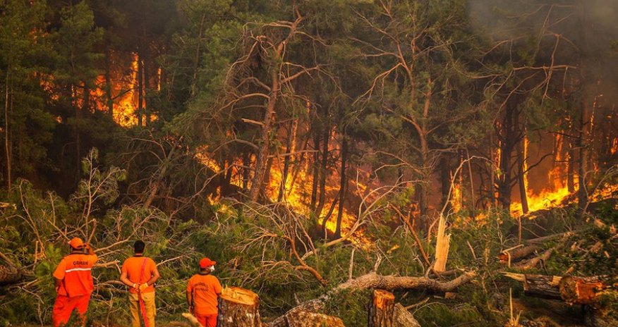 Türkiyədə meşə yanğınları ilə bağlı 6 nəfər saxlanılıb