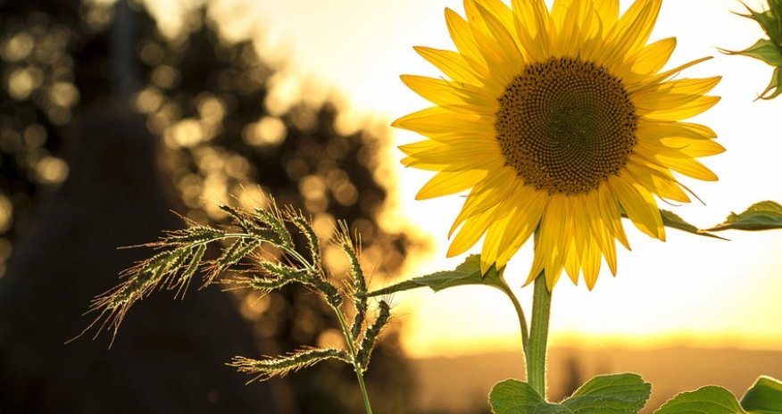 Azerbaijan weather forecast for August 21