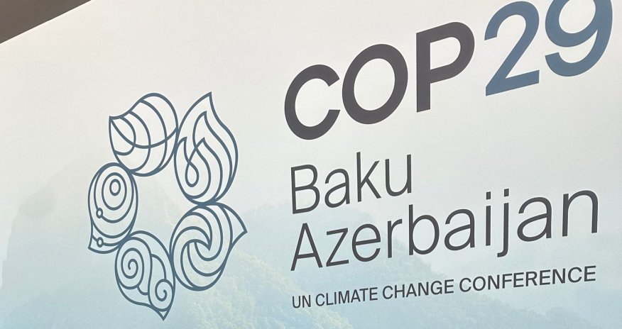COP29 in Azerbaijan: A turning point in fight against climate change - OPINION