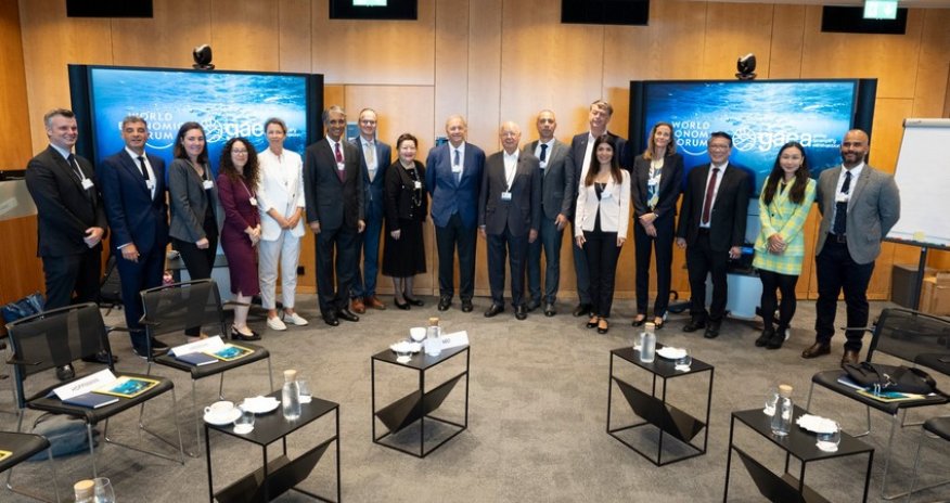 COP29 presidency, WEF mull ways to raise more investment in climate action