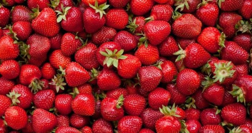 Ermənistandan ixrac edilən çiyələk Rusiyaya buraxılmayıb