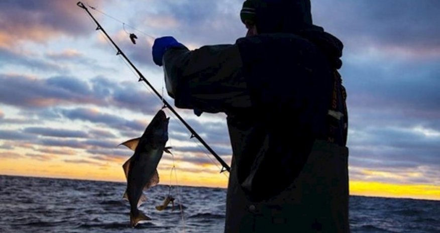 Sentyabrın 1-dən balıq ovuna icazə veriləcək