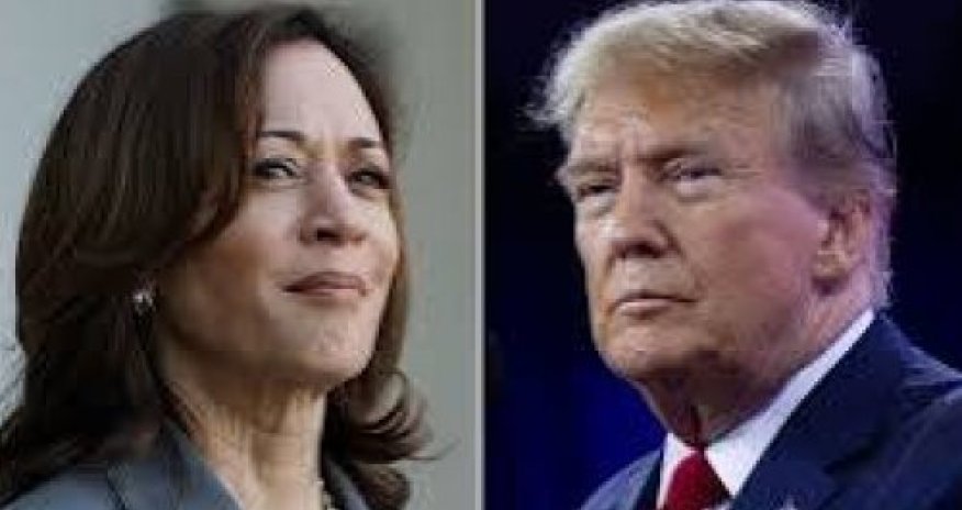 Sorğu nəticələrində Tramp Harrisi üstələyir