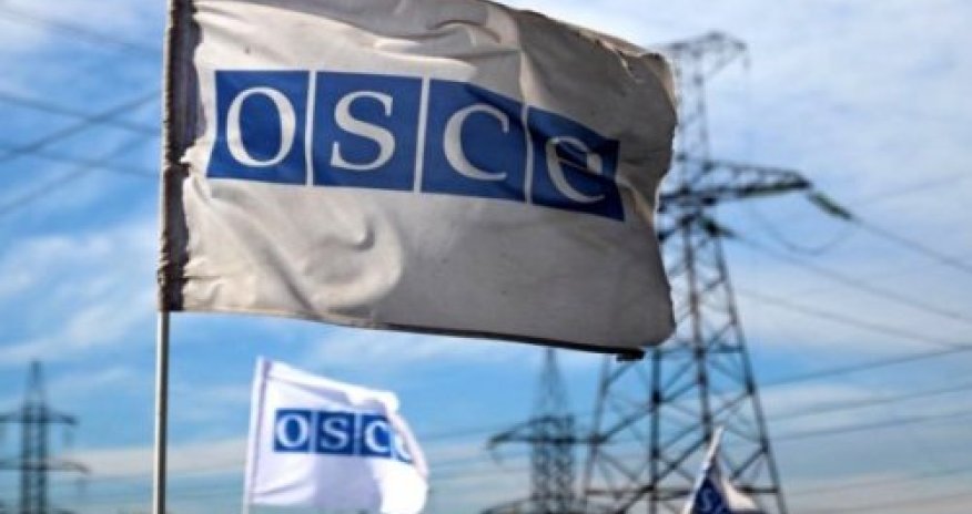 Əliyev ATƏT-in Minsk qrupu ilə bağlı Ermənistanın mövqeyini aydın hesab etmir