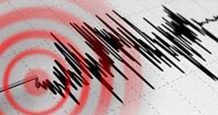 На юге Грузии произошло землетрясение магнитудой 4,1