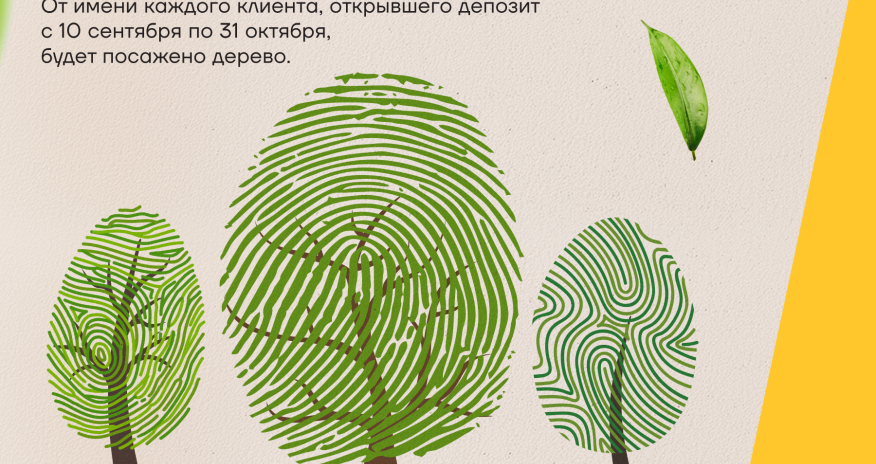 Вклад в Yelo Bank — вклад в зелёный Баку