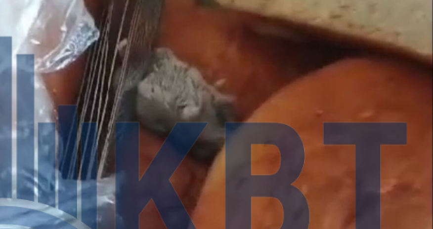 Ağdamda şirkət işçilərinə verilən çörəyin içərisindən ölü siçan çıxdı-  İDDİA/VİDEO