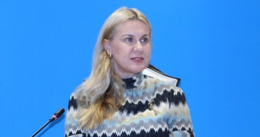 Simsondan Aİ ölkələrinə çağırış