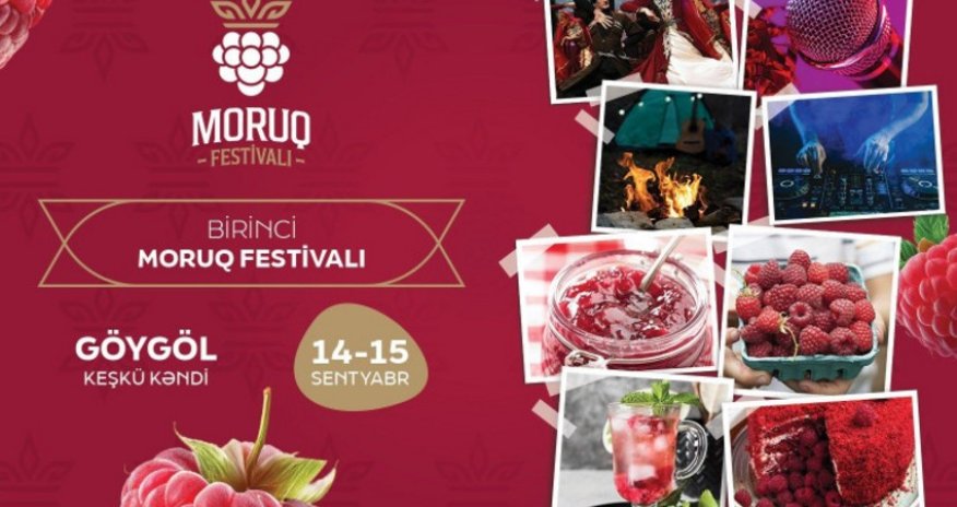 Azərbaycanda ilk dəfə “Moruq Festivalı” keçiriləcək