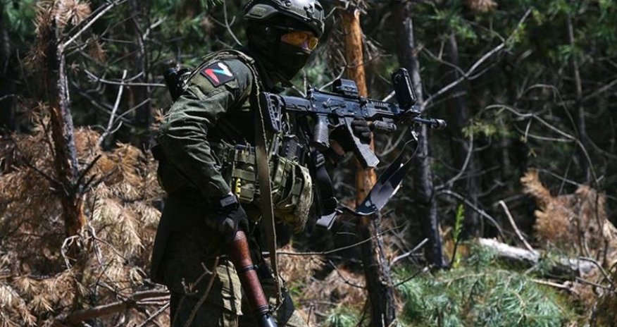 Russian army takes control of 10 settlements in Kursk