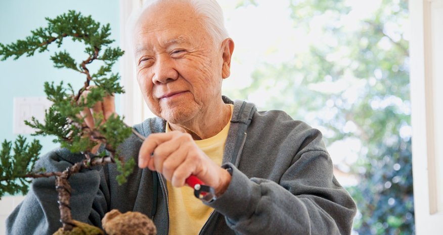 Yaponiyada yaşı 100 yuxarı olanların sayı rekord həddə çatıb