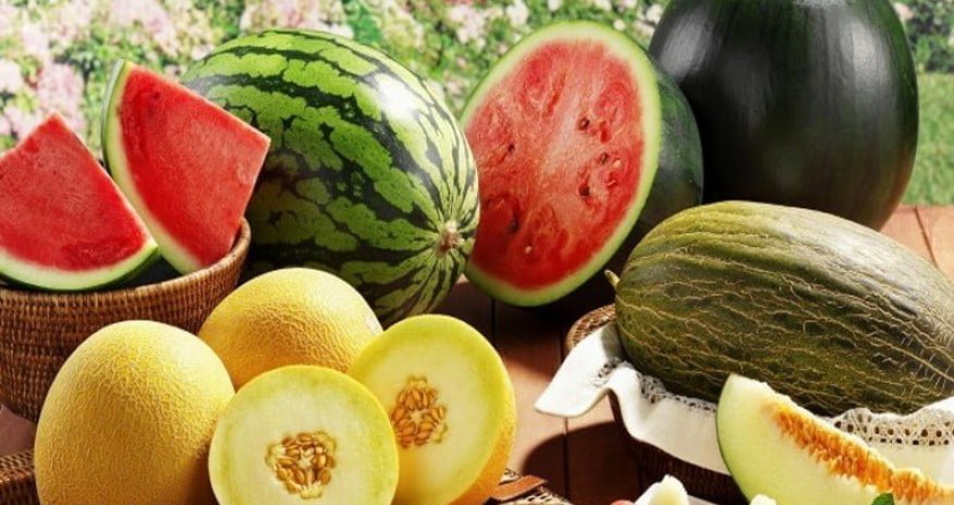 Səkkiz ayda kənd məhsullarının həcmində 0,8% artım olub