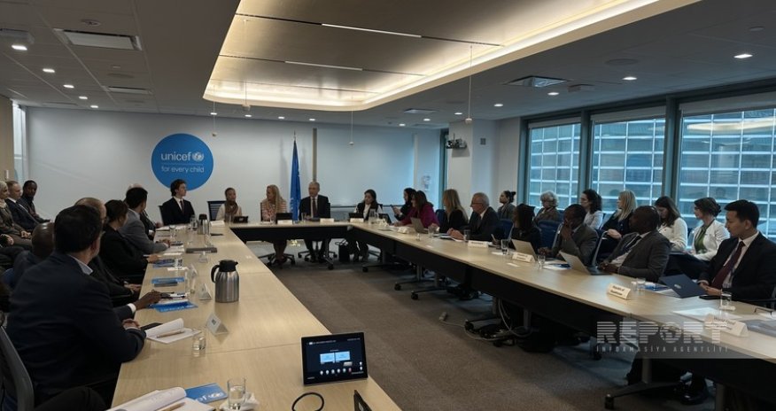 Замдиректора ЮНИСЕФ: Азербайджан успешно проведет Конференцию COP29