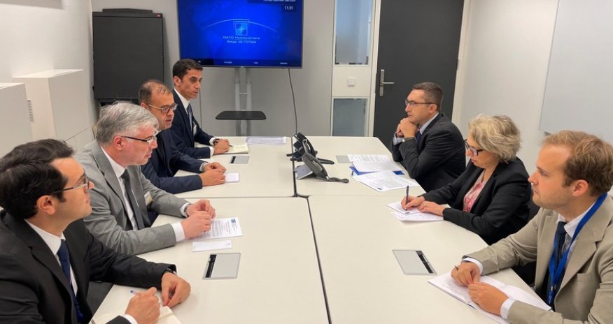 NATO deputy assistant secretary general for operations informed about landmine threat in Azerbaijan