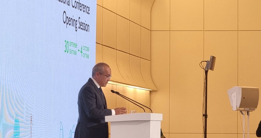 2050-ci ilədək qlobal ÜDM illik 1.5-5% azalacaq -Nazir