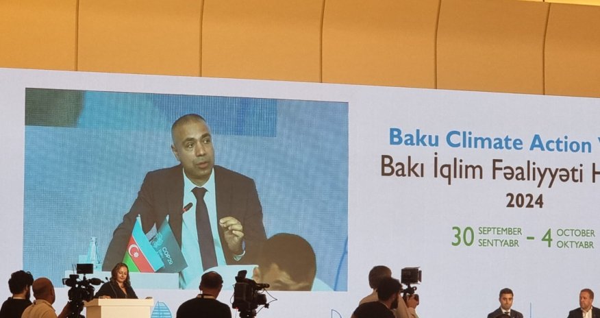 Azərbaycan elektrik enerjisinin 70%-ni təbii qazdan alır- Elnur Soltanov