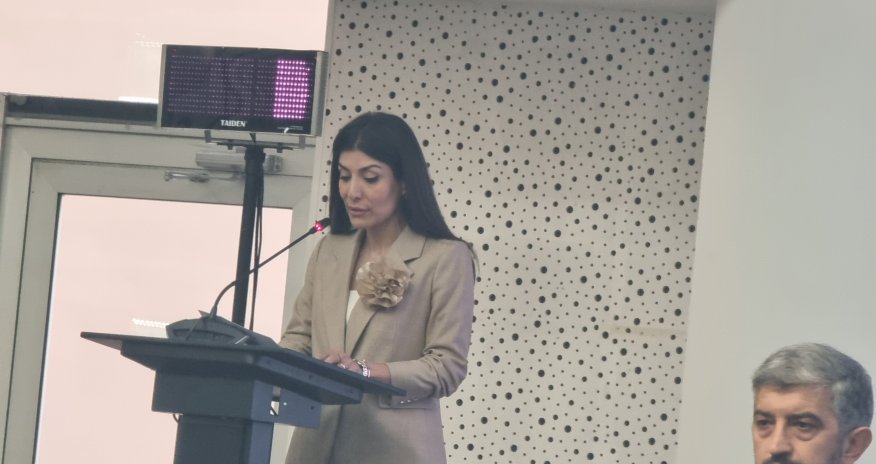 Yaşıl iqtisadiyyata keçid üçün milyardlarla vəsait tələb olunur - Nigar Arpadarai