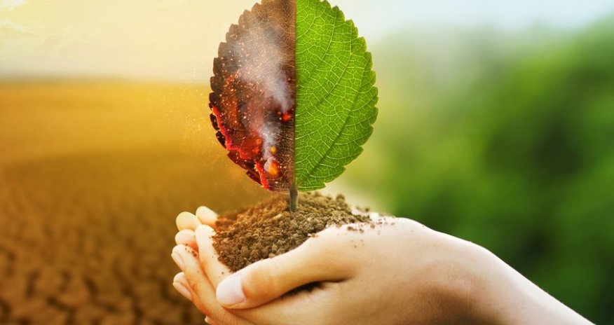 EU official announces ways to mitigate impact of climate change