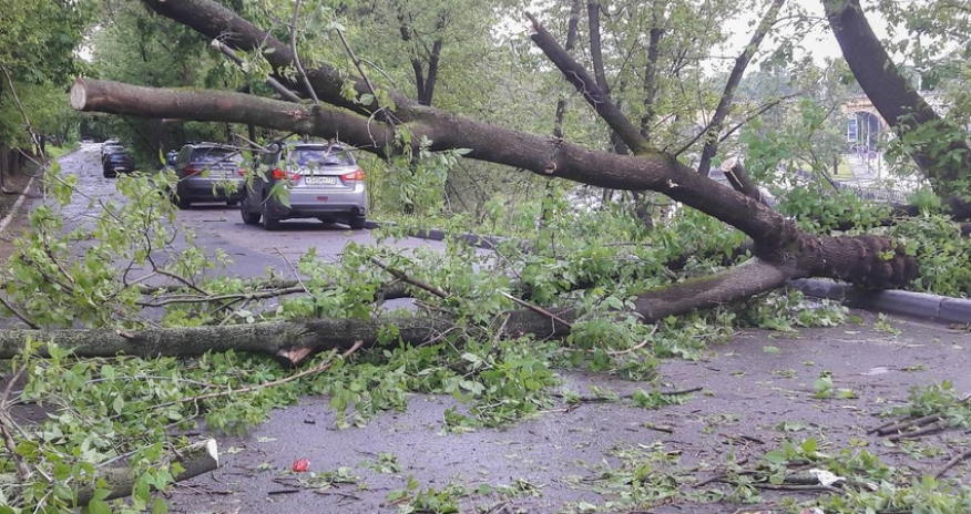 Число жертв урагана 