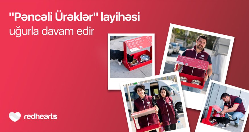 Qırmızı Ürəklər Fondu hər kəsə sahibsiz heyvanlara dəstək olmaq imkanı yaradır