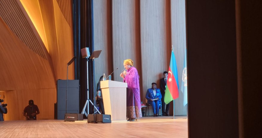 COP29 konkret nəticələr ortaya qoymalıdır - BMT rəsmisi