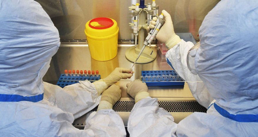 Hollandiyada ilk mavi dil infeksiyası aşkarlanıb