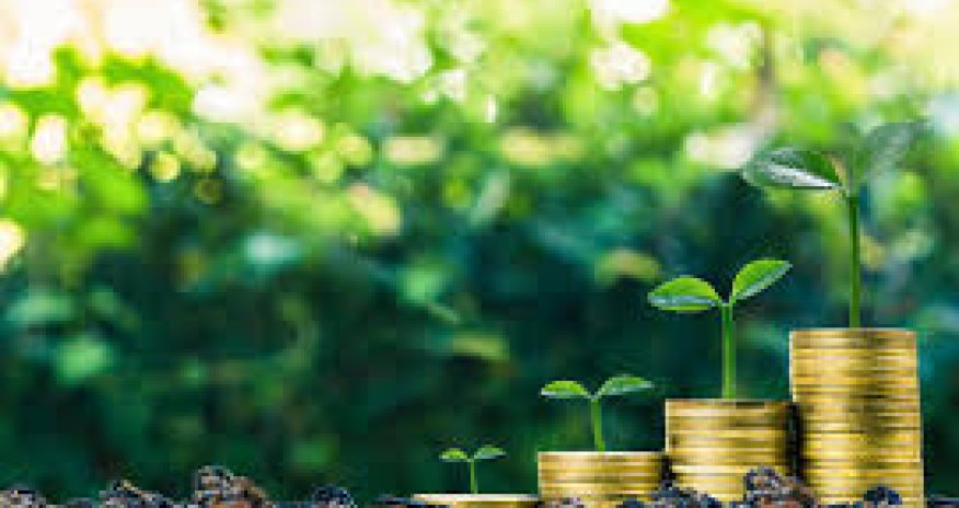 Азербайджан усилил свою деятельность в области 