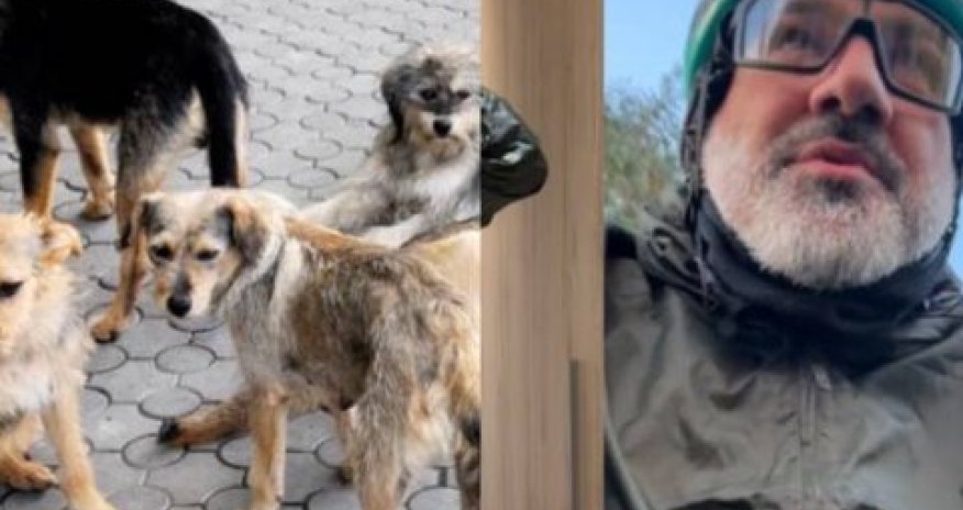 Paşinyan itlərin hücumuna məruz qalıb