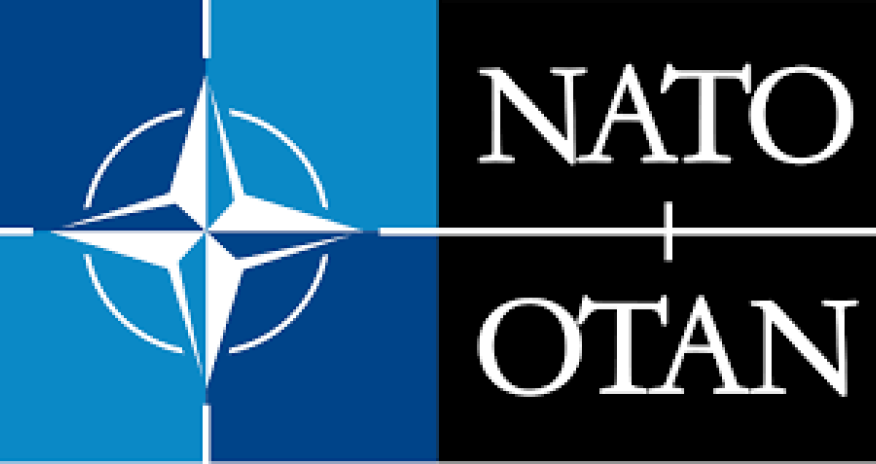 NATO Gürcüstandakı seçkilərlə maraqlanır