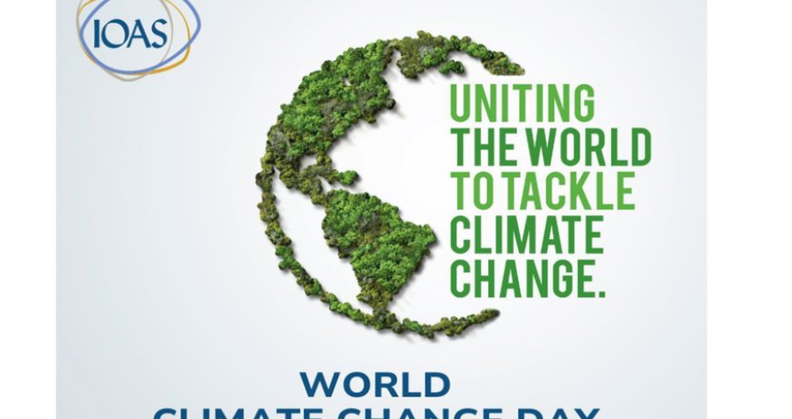 15th World Climate Summit to be held parallel to COP29 in Baku