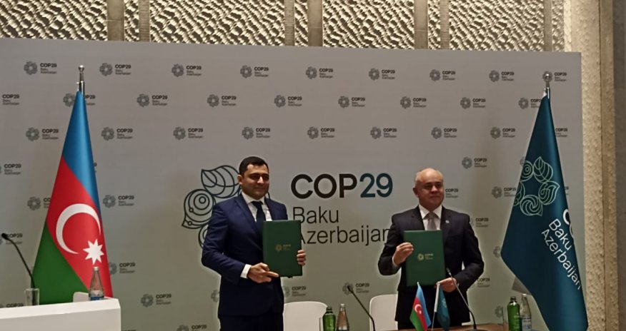 Qarabağda və Şərqi Zəngəzurda 32 elektrik stansiyası tikilir