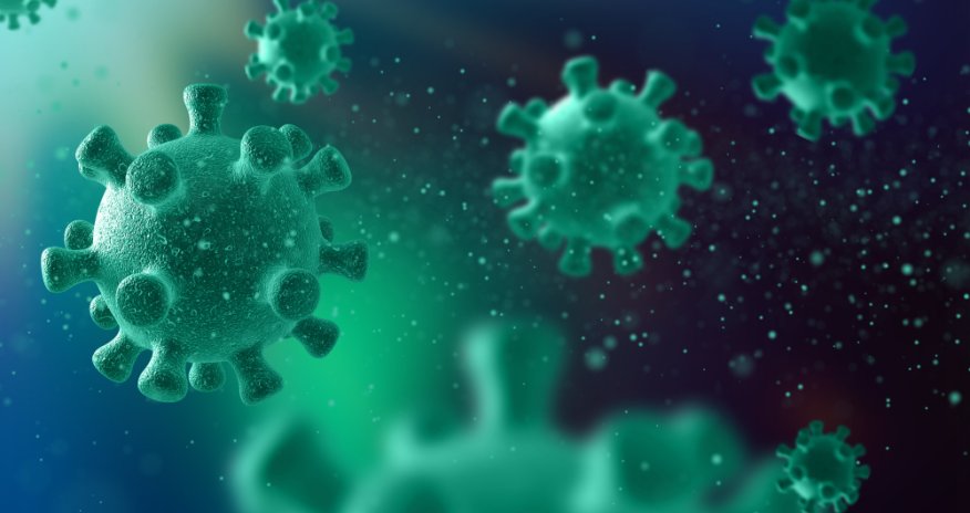 Britaniyada meymunçiçəyinin yeni ştamı aşkarlanıb