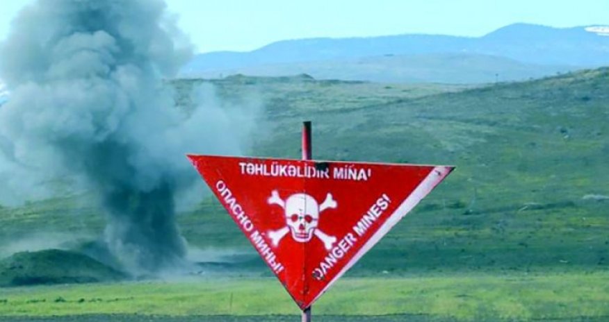 Goranboyda heyvanlar minaya düşüb