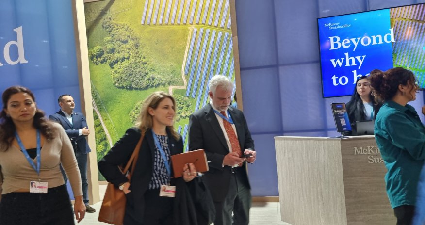 ABŞ-ın Azərbaycandakı səfiri COP29-da Yaşıl Zonada iştirak edib