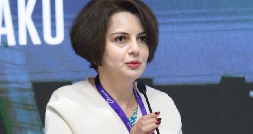 Azerbaijani official: EU countries will need more green energy imports