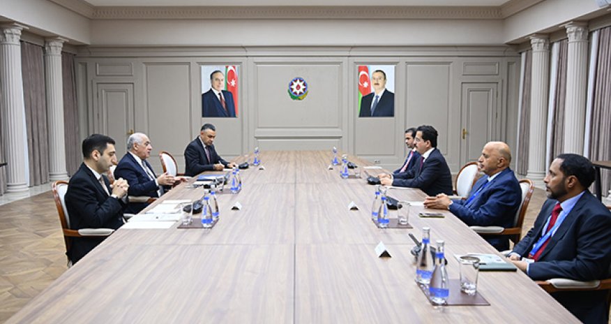 Baş nazir Ümumdünya Yaşıl İqtisadiyyat Təşkilatının sədri ilə görüşüb