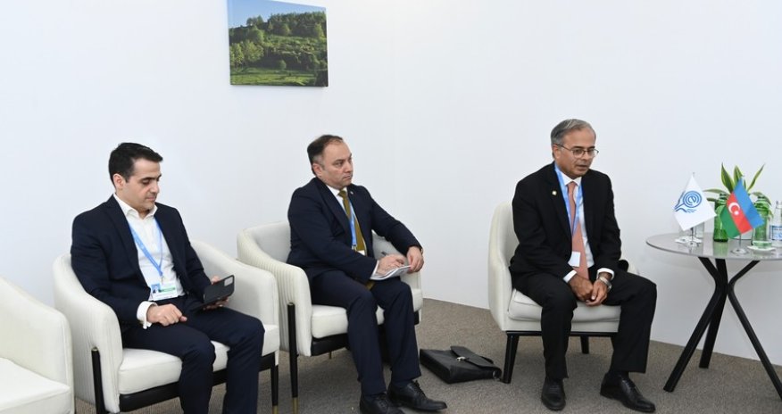 ECO Secretary General praises Azerbaijan for exceptional COP29 organization