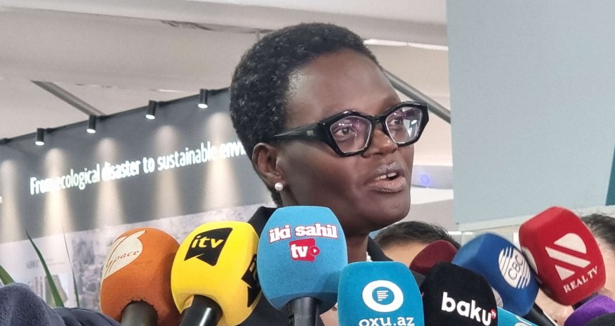 Son bir ildə 30 milyon insan iqlim dəyişikliyindən məcburi köçkünə çevrilib - Tulia Ackson