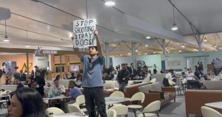 COP29 tədbirində heyvansevər aksiya keçirdi- VİDEO
