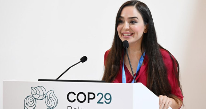 Leyla Əliyeva Xəzər dənizinin mühafizəsinə dair müzakirələrdə iştirak edib